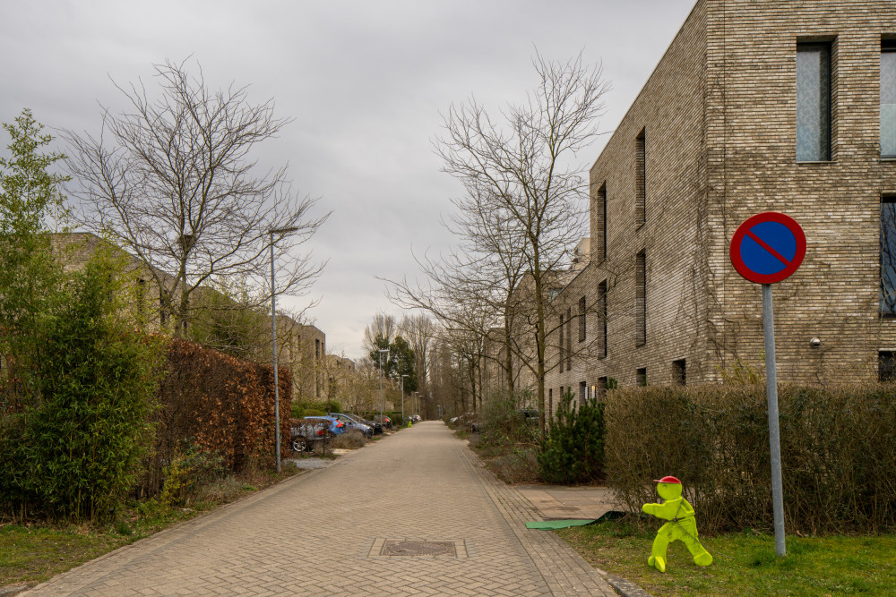 Woningen Eridanusstraat 